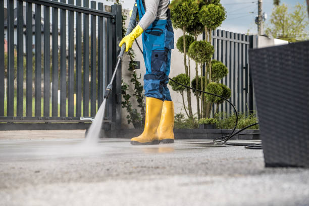 Best Residential Pressure Washing Services  in Croswell, MI